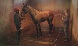 Christa Joo Hyun D'Angelo