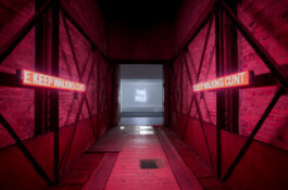 Christa Joo Hyun D'Angelo